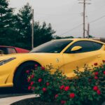 Leading 7 Average Premium Fleets Prices for Daily Use in Dubai: